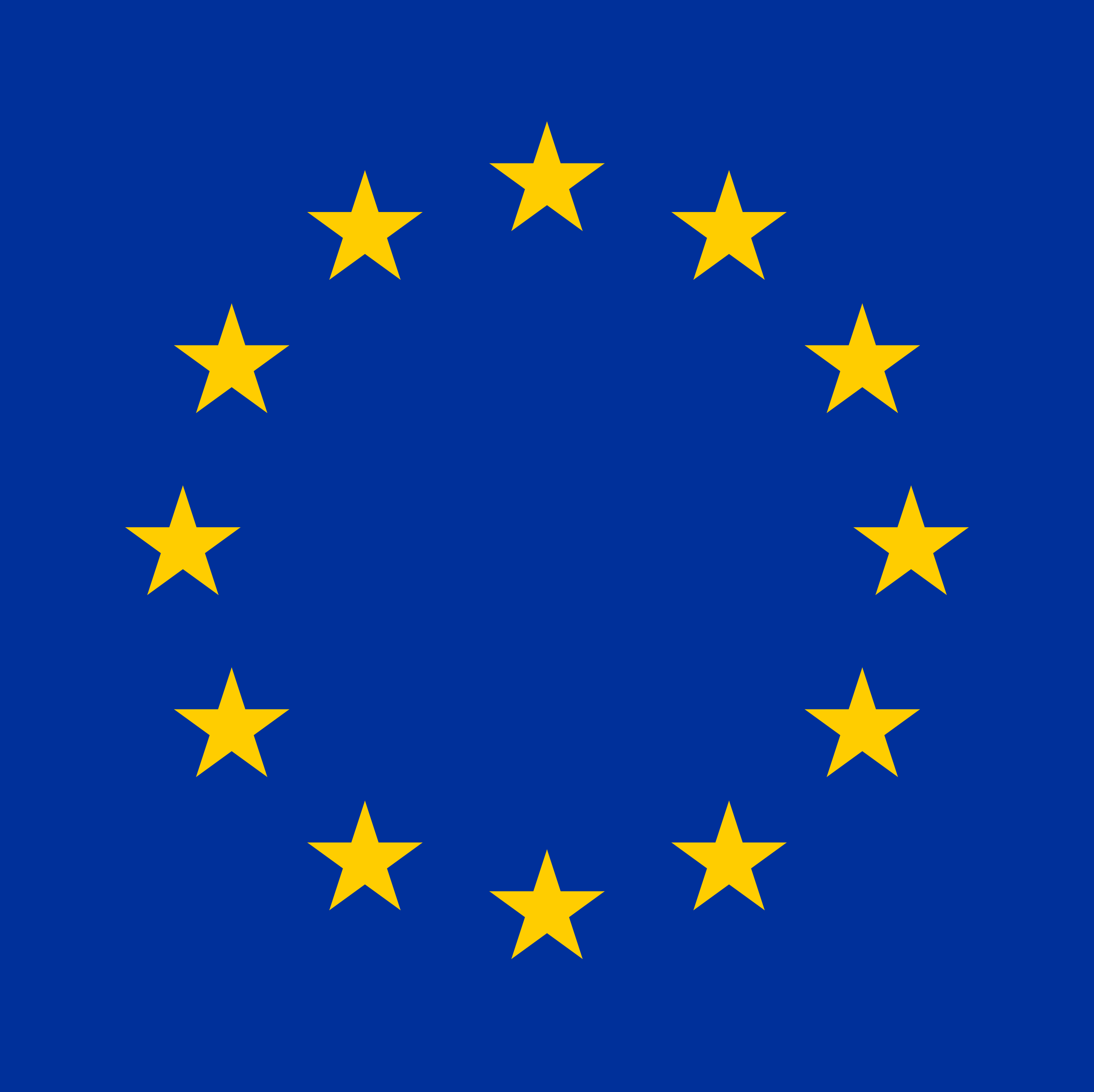 EU FLAG