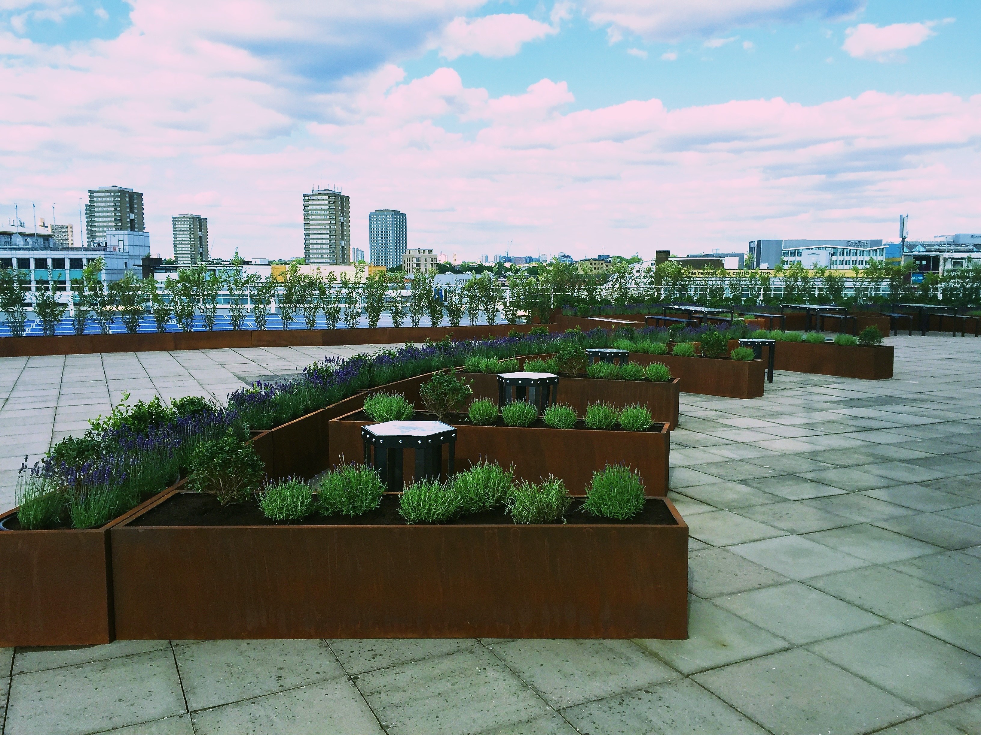 BBC Worldwide Roof Garden by Land Designs