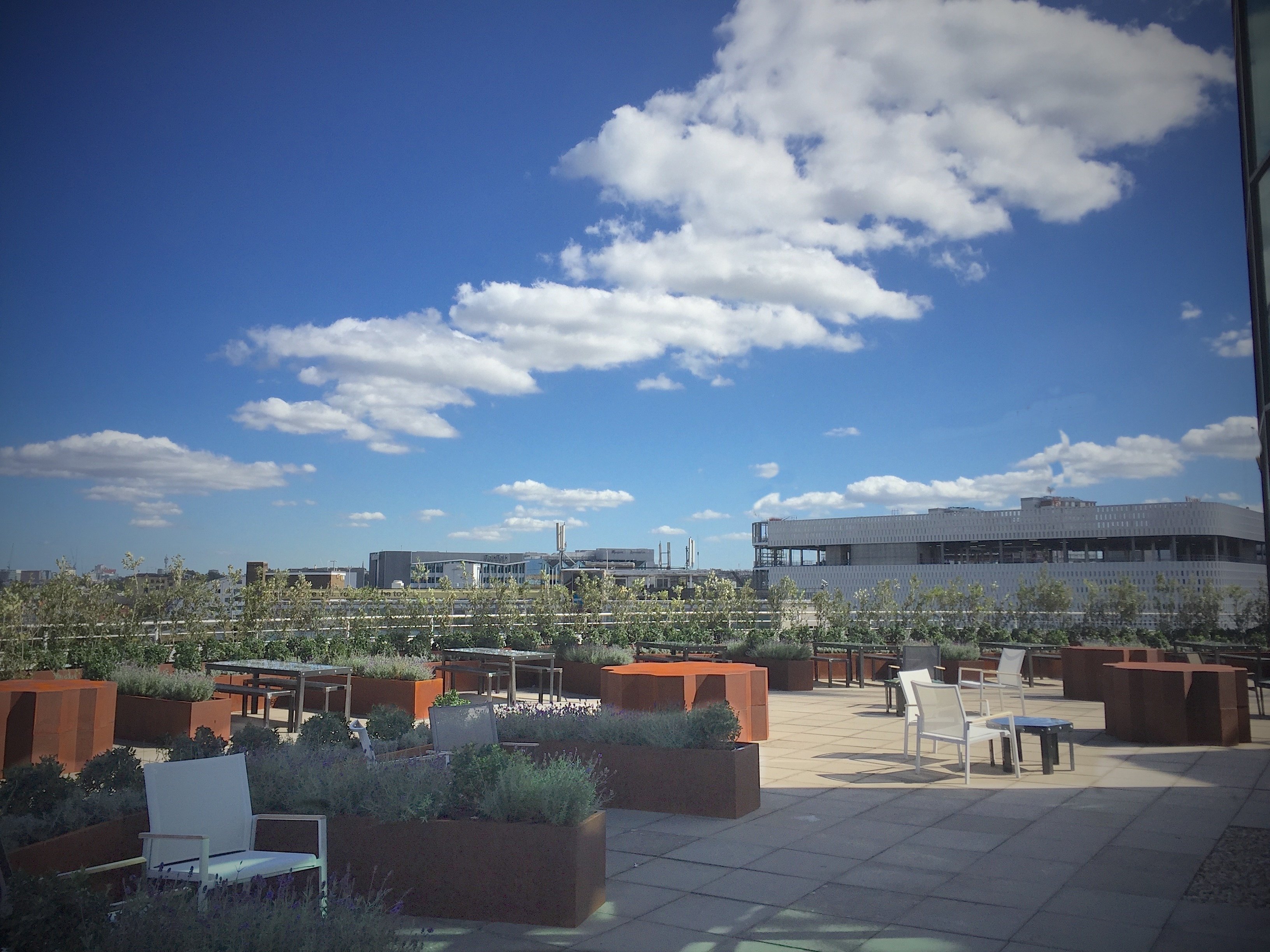 BBC Worldwide Roof Garden by Land Designs
