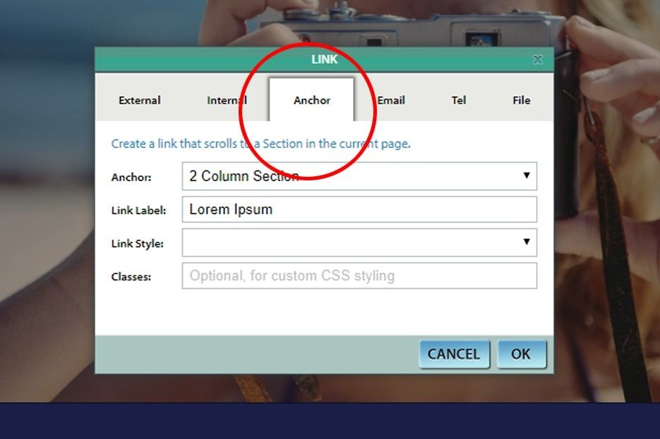 Create A Scroll To Anchor Link