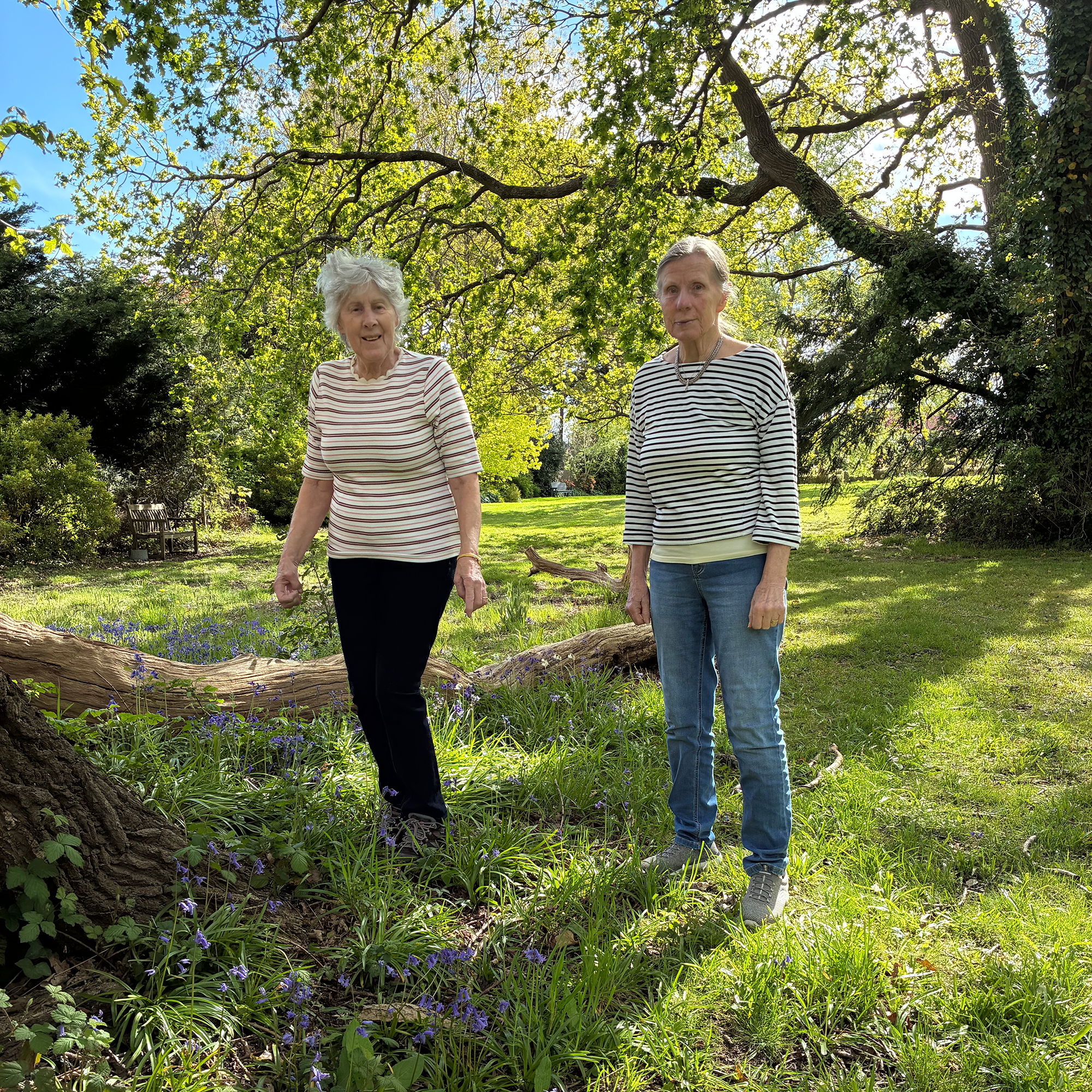 Residents enjoying the spring flowers at Blackbrook House Care Home in Fareham
