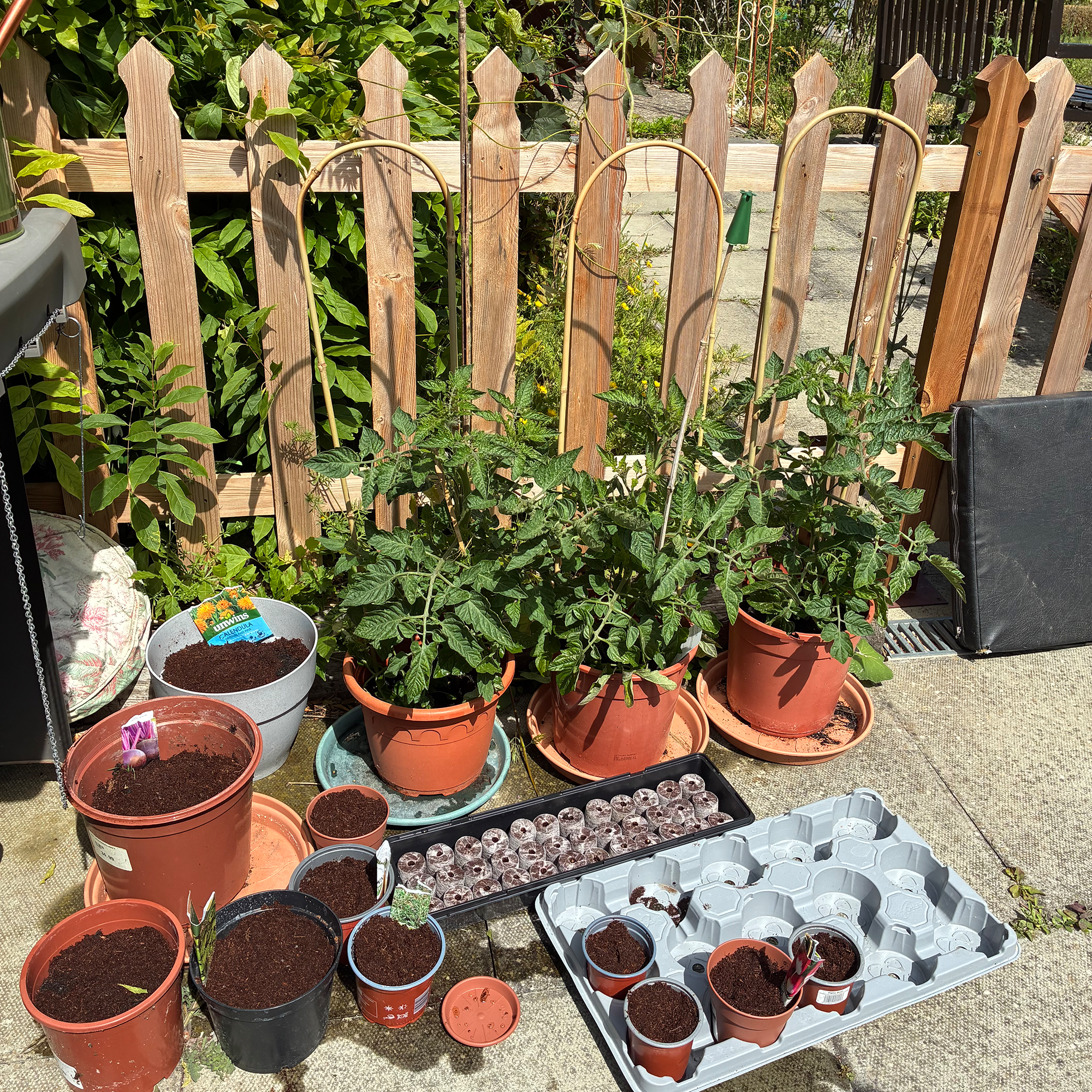 The results of Blackbrook House residents' planting