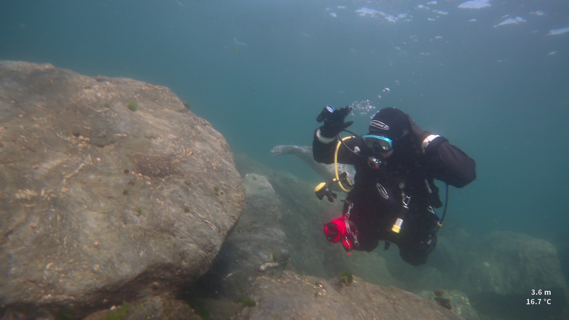 Newquay Boat Diving image