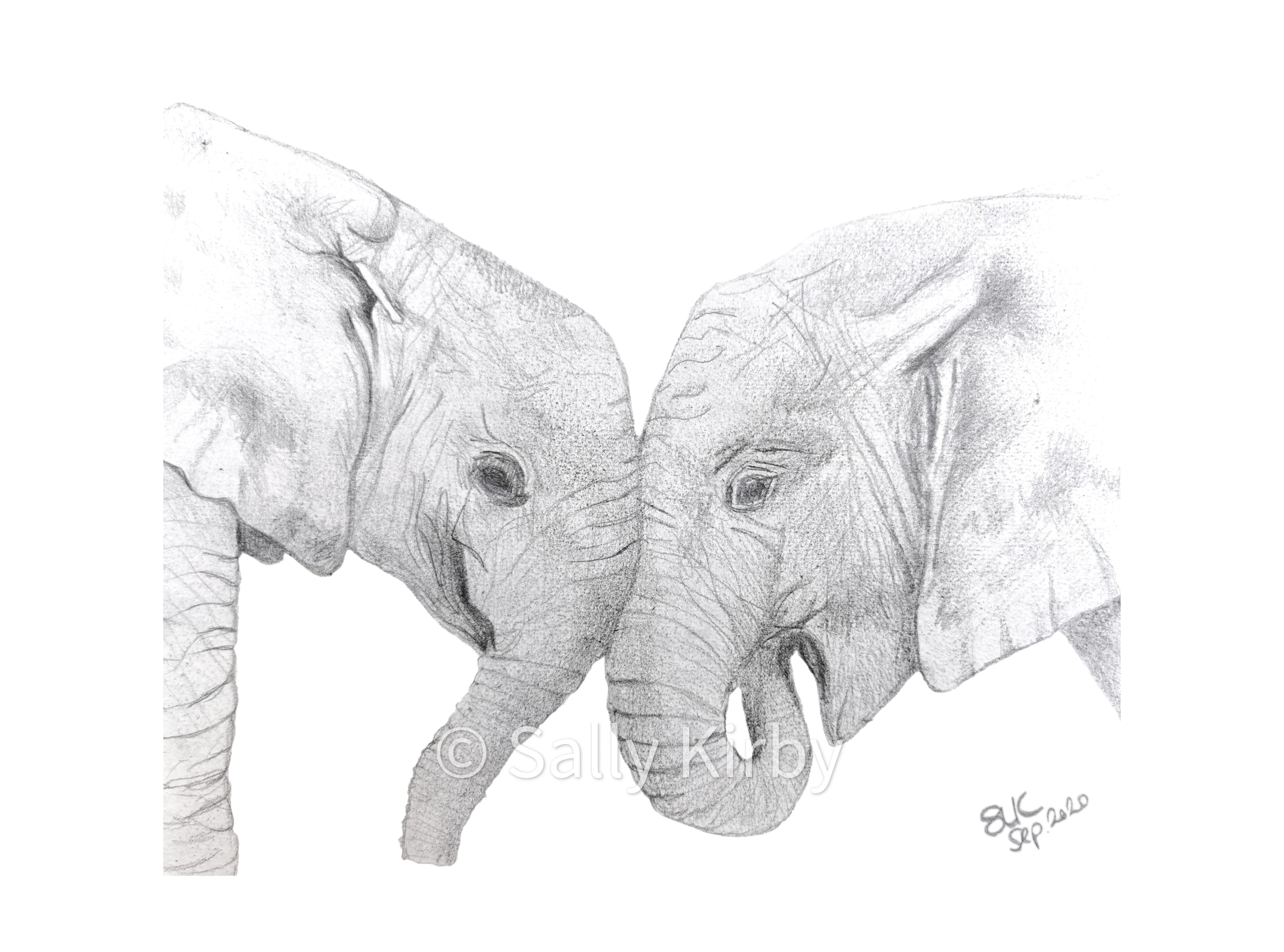 Elephant Kiss.jpg