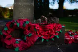 Remembrance Poppy Wreaths